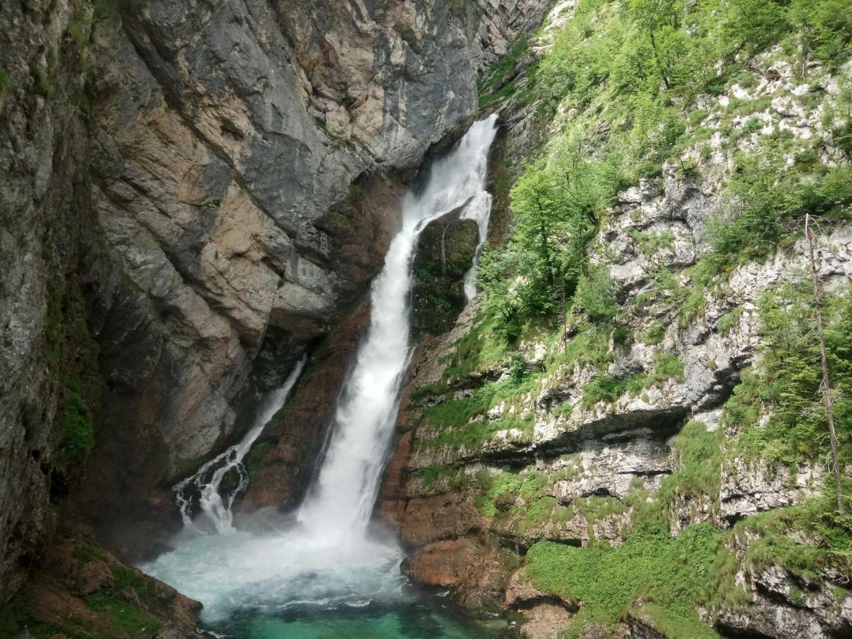 House Budkovic Hostel Bohinj Exterior photo